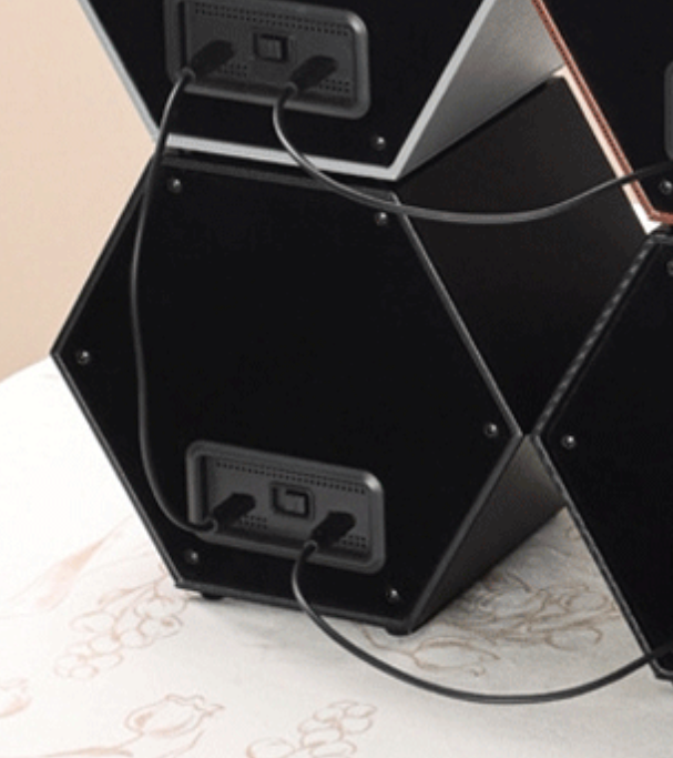 Hexagonal Duo Watch Winder – Raven-3-Le Remontoir